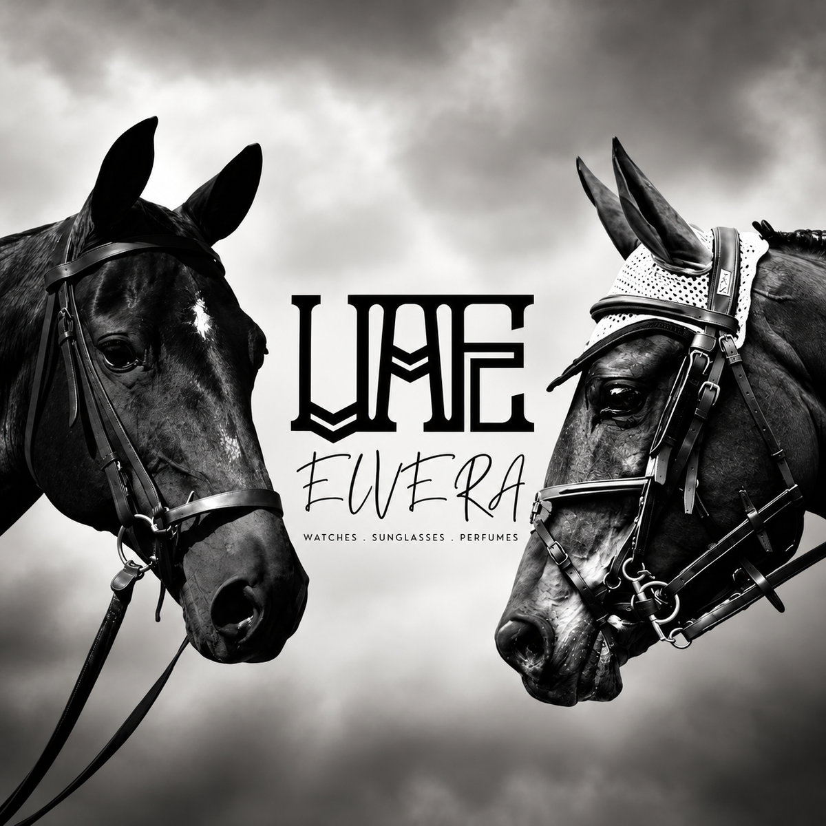 ELVERA EQUESTRIAN