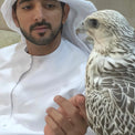 Omar